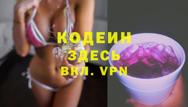 мдпв Заводоуковск