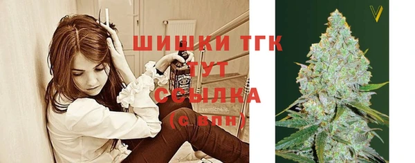 мдпв Заводоуковск