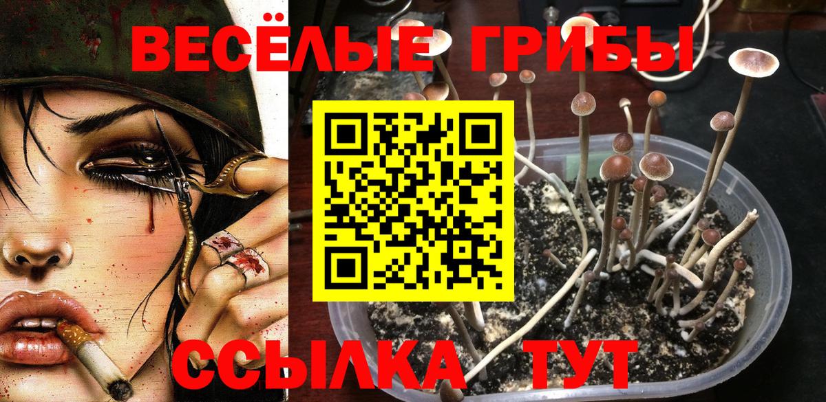 Галлюциногенные грибы мицелий Зеленодольск