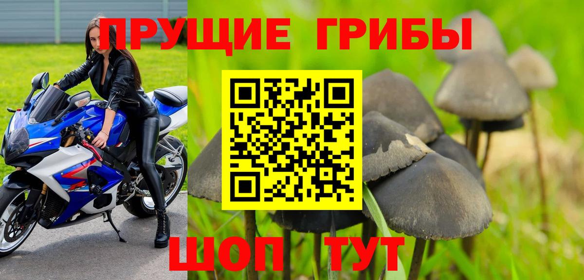 наркошоп  Псилоцибиновые грибы Magic Shrooms  Вход с VPN  Зеленодольск 
